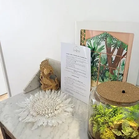 Apartamento Le Eleven Jungle