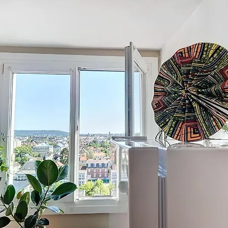 Le Eleven Jungle Compiègne
