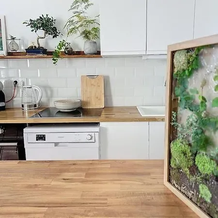 Le Eleven Jungle * Compiègne