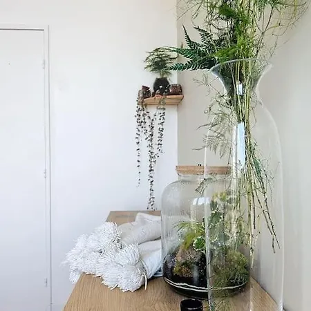 Apartamento Le Eleven Jungle