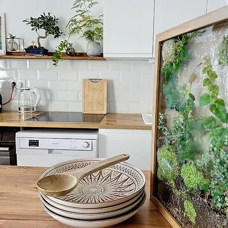 Apartamento Le Eleven Jungle *